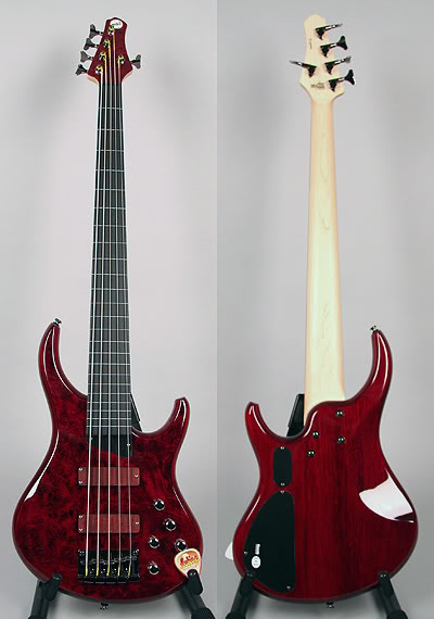 mtd.jpg