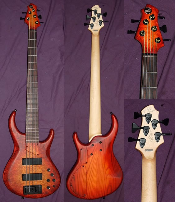 MTD535DCSBMapleBurlcollage2.jpg