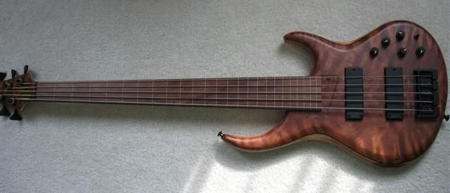 mtd_profile.jpg