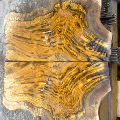 mtd_walnut_1.jpg