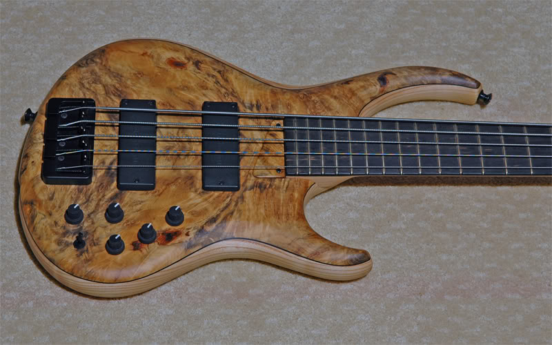 MTDBody02W.jpg