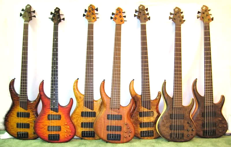 MTDCollection.jpg