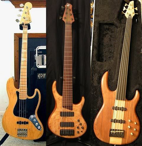 MTDFENDERCARVIN.jpg