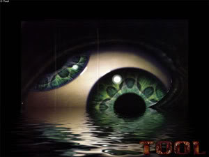 MU-green-eye.jpg