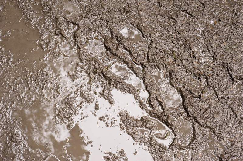 mud-18849786.jpg
