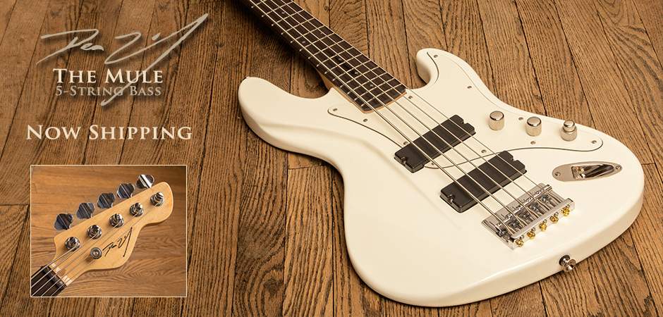 Mule_5-String-Bass2.jpg