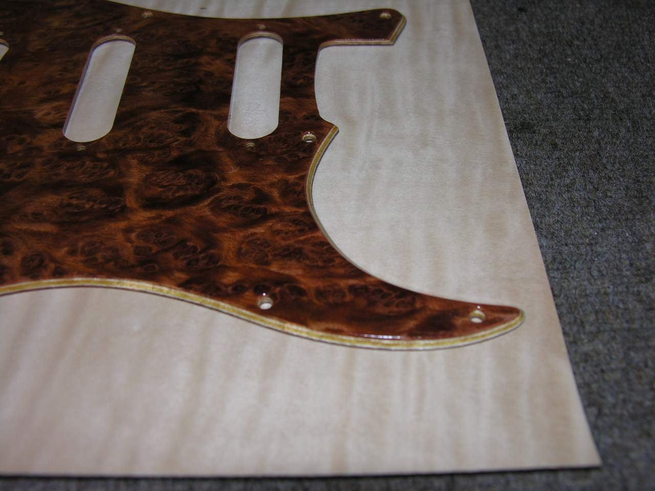 multiRedwoodBurl.JPG