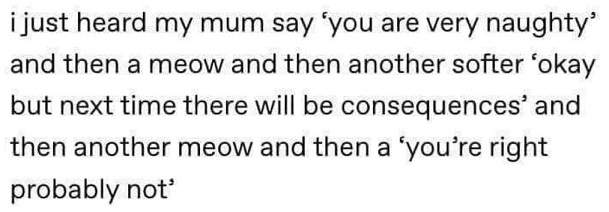 mum cat.jpg
