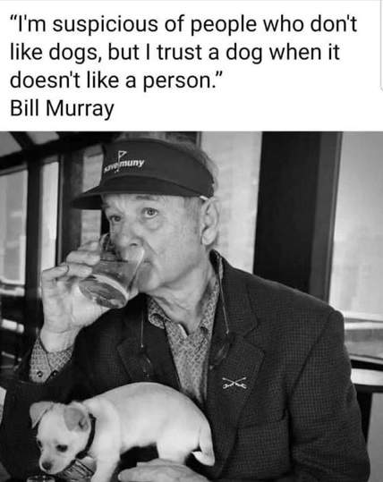 murray dog.jpg
