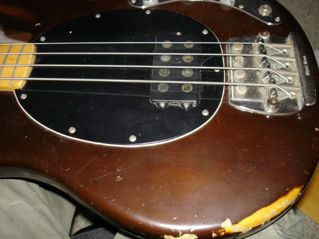 musicman-1.jpg