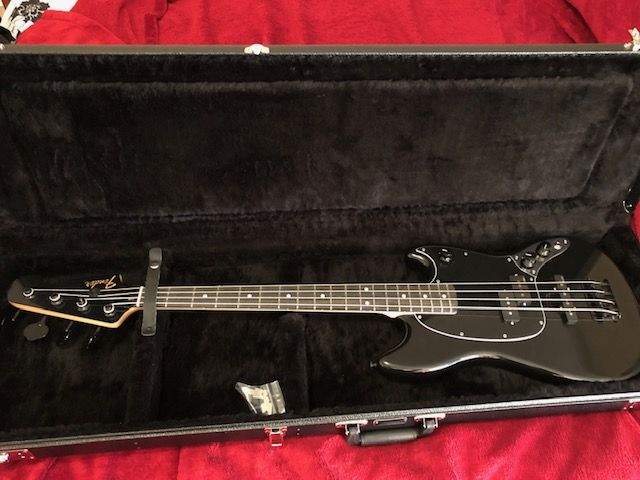 mustang-case.jpg