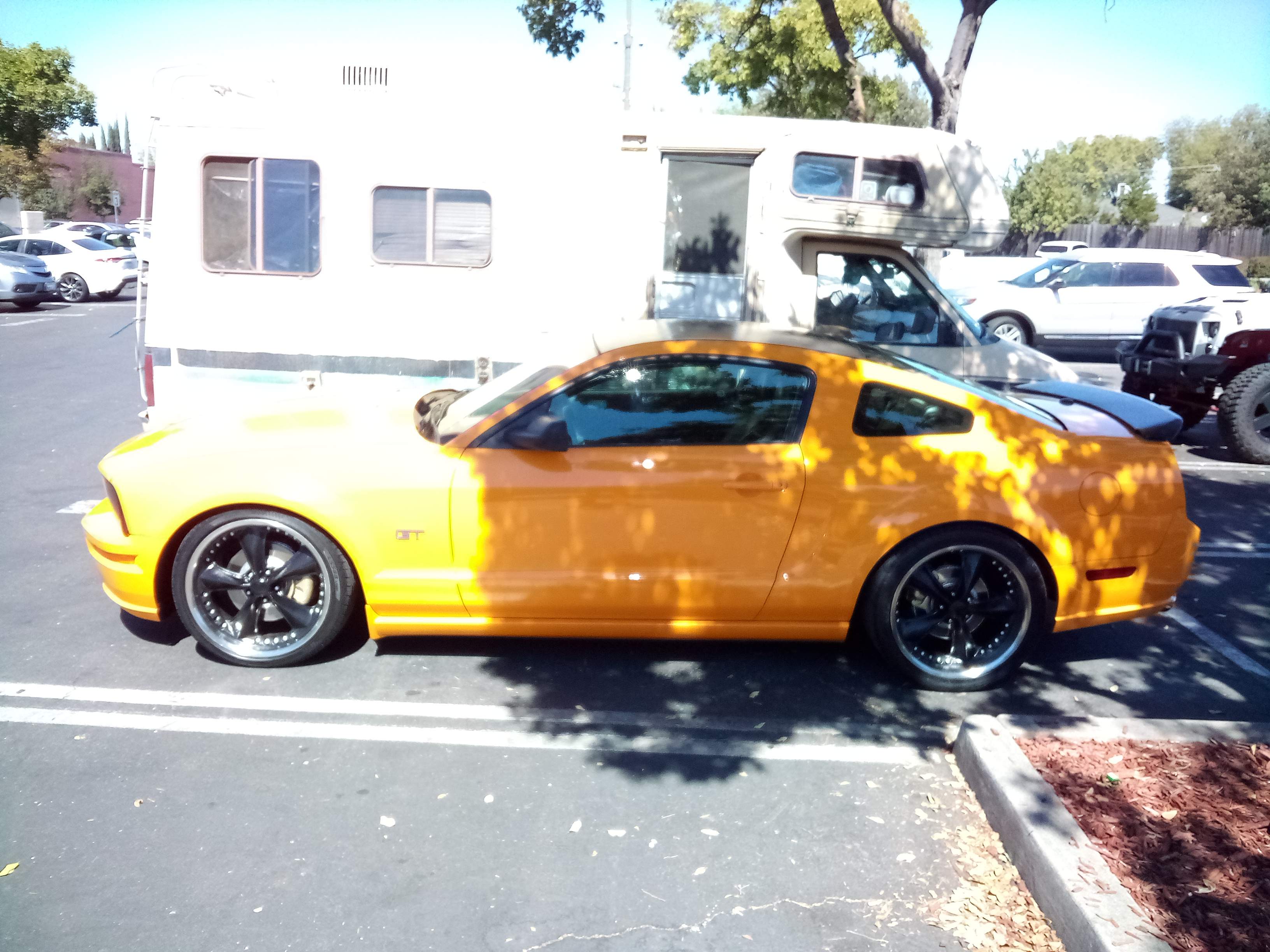 Mustang.jpg