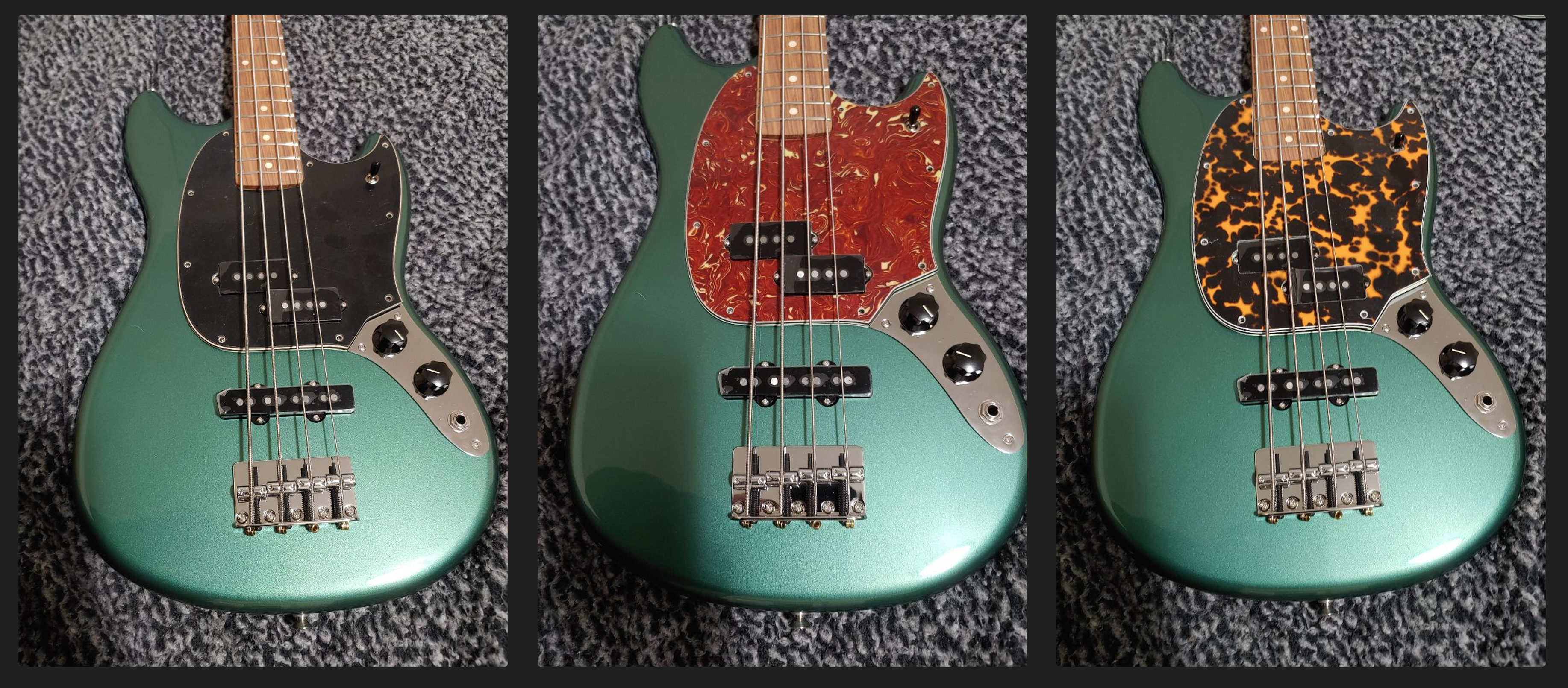 mustang pickguard.png
