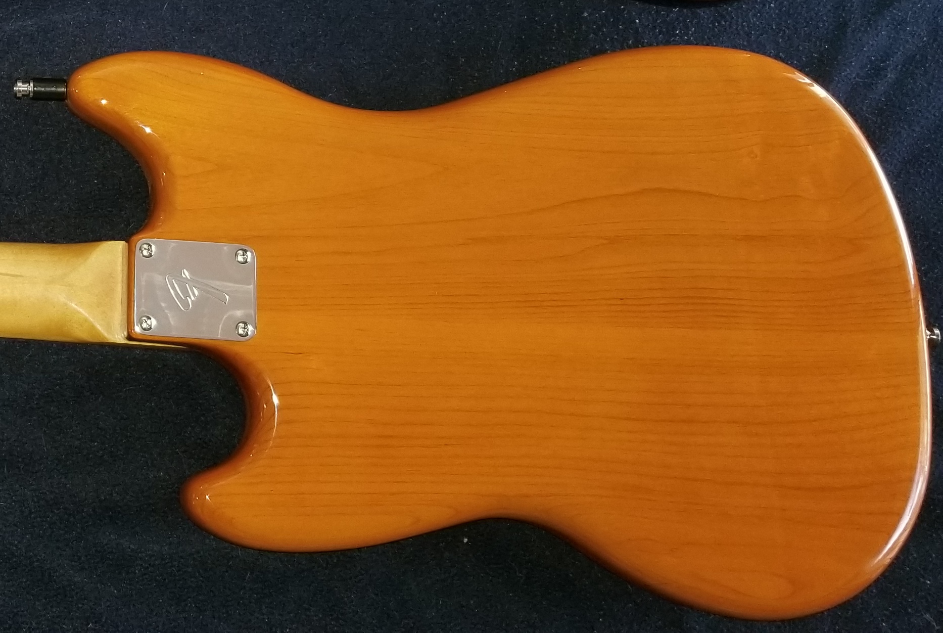 Mustang PJ - Back.jpg