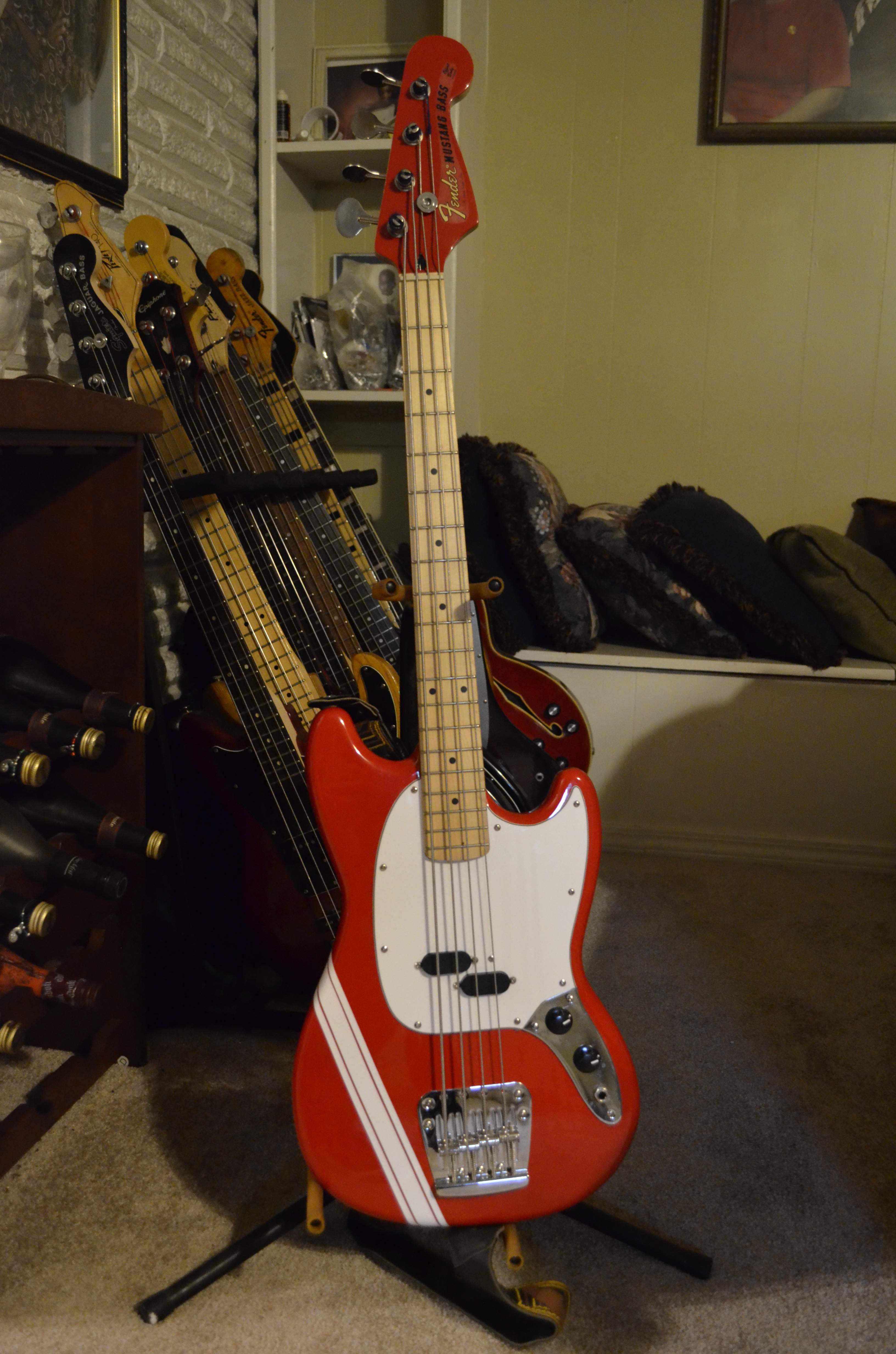 Mustang1.JPG