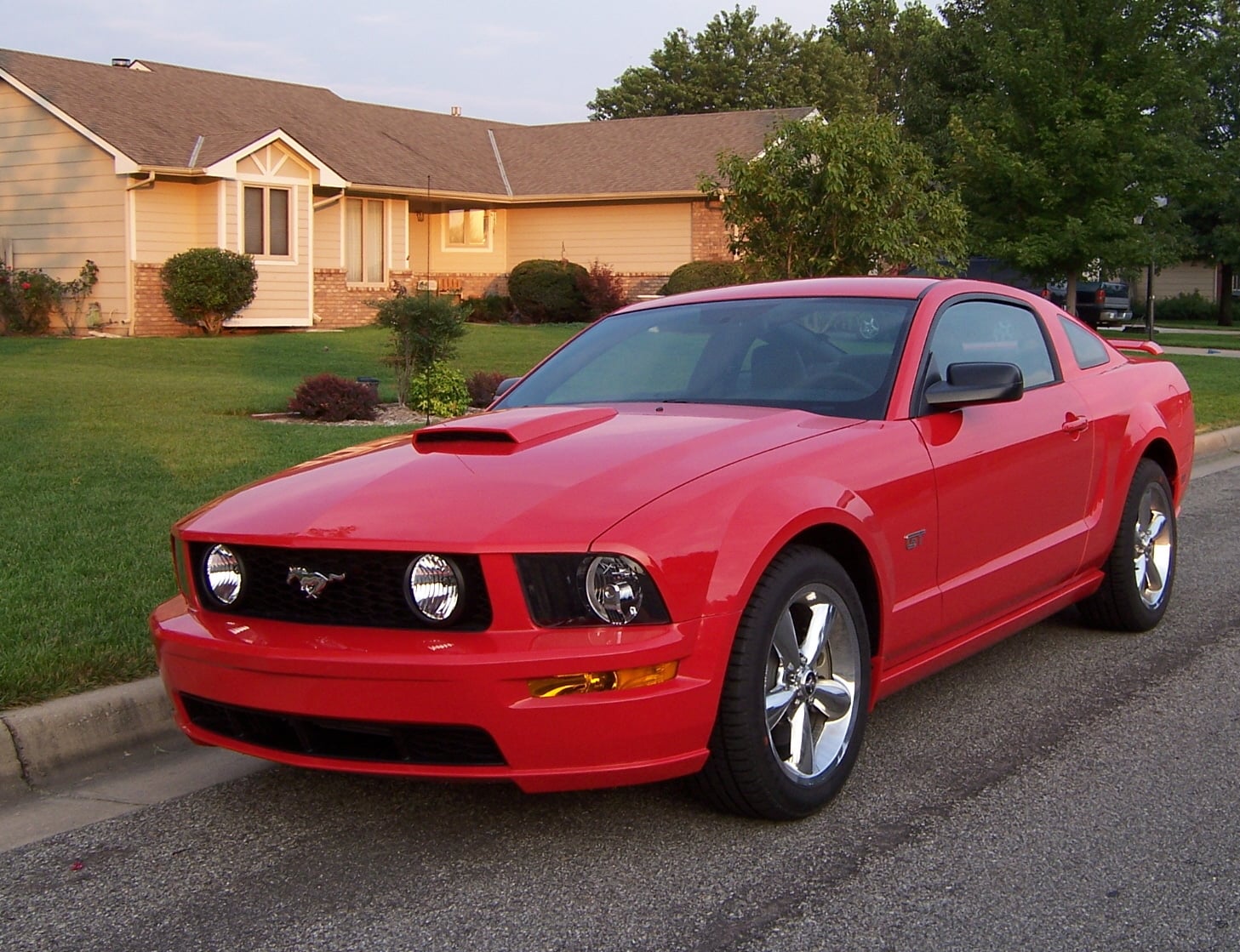 mustang_front-2.jpg