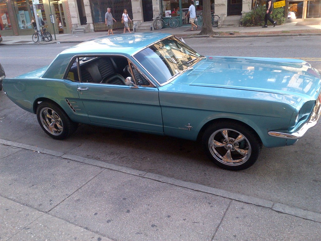 mustangashx.jpg