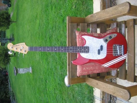 Mustangfull.jpg