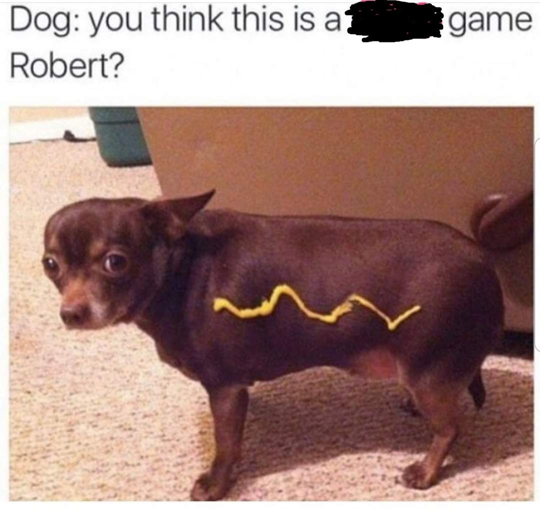mustard dog.jpg