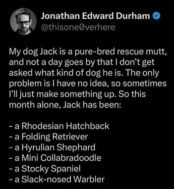 Mutt 1.jpg