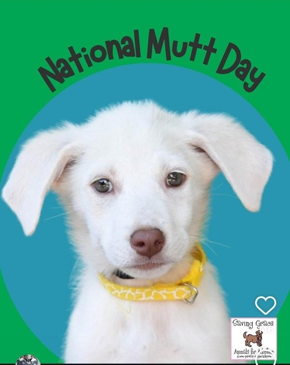 Mutt day.jpg