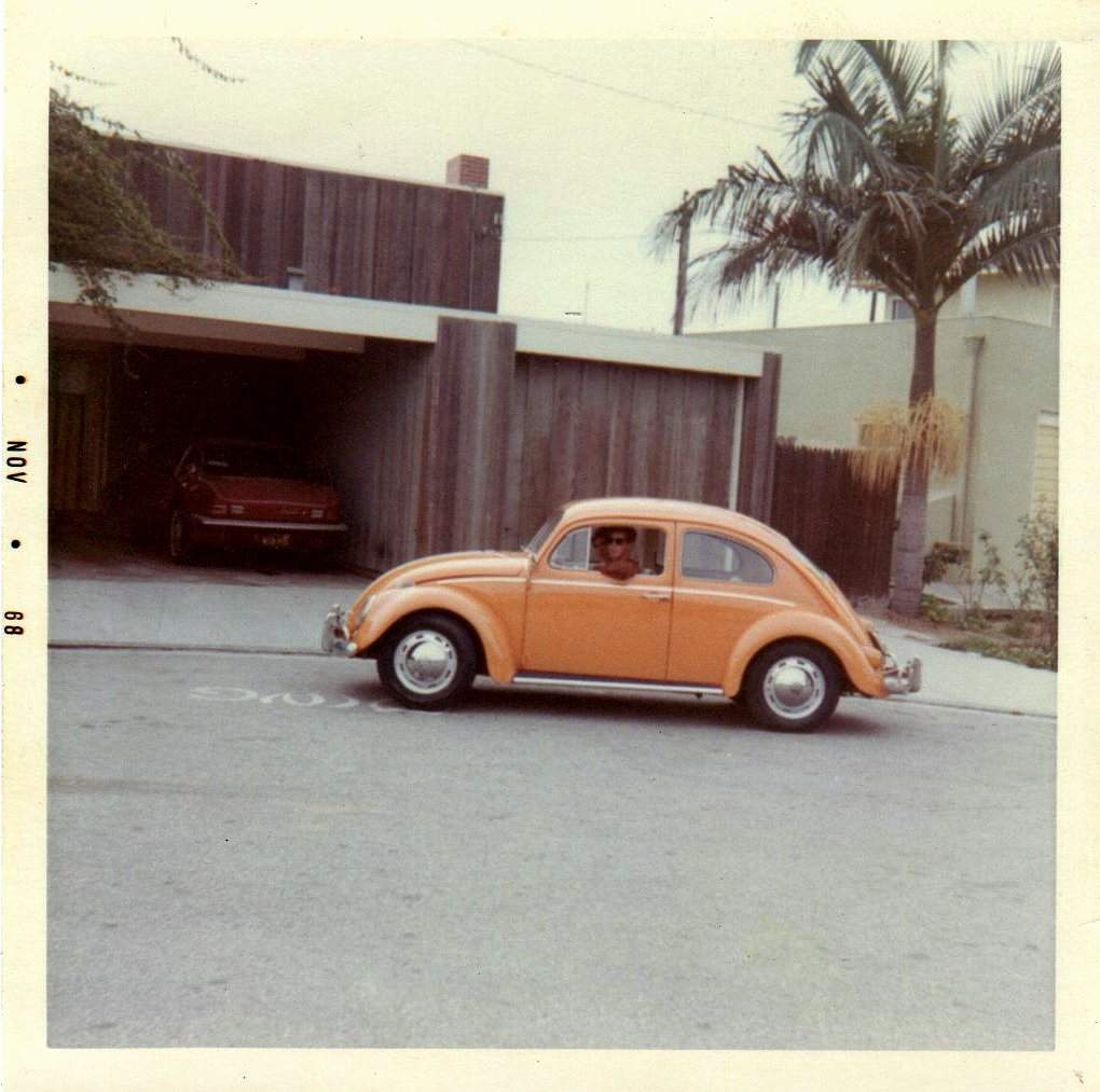 MY 61 BUG.jpg
