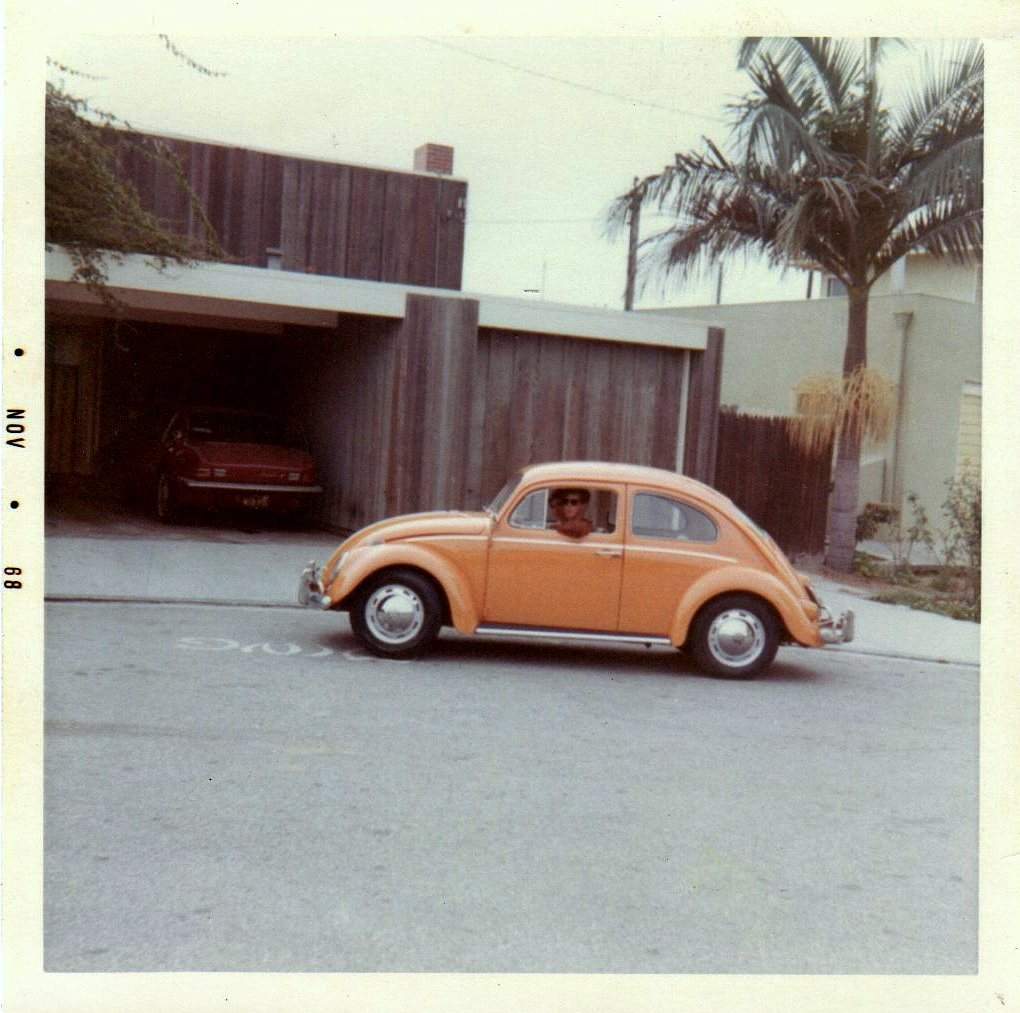 MY 61 BUG.jpg
