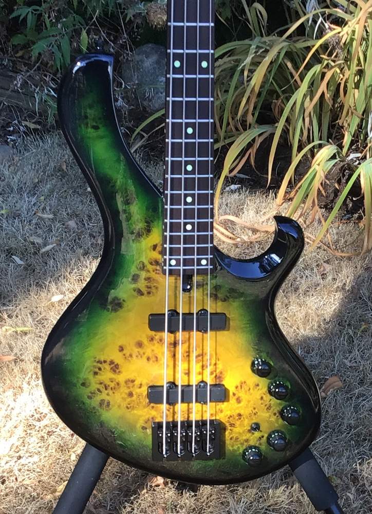 My Frog 2cropred.JPG