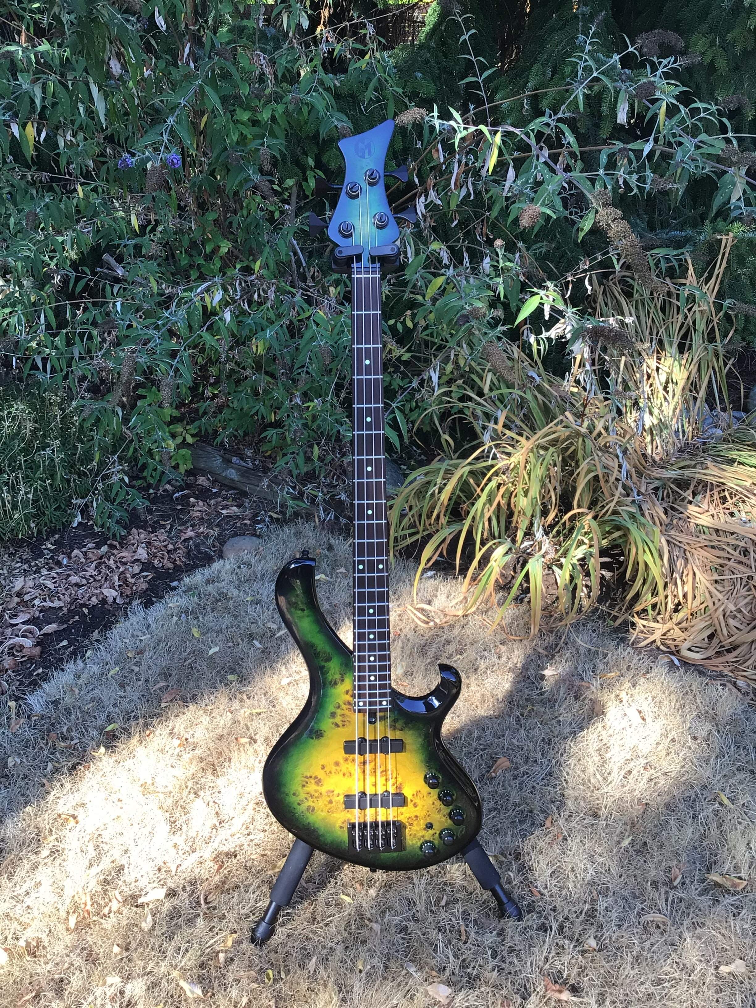 My Frog 3.JPG