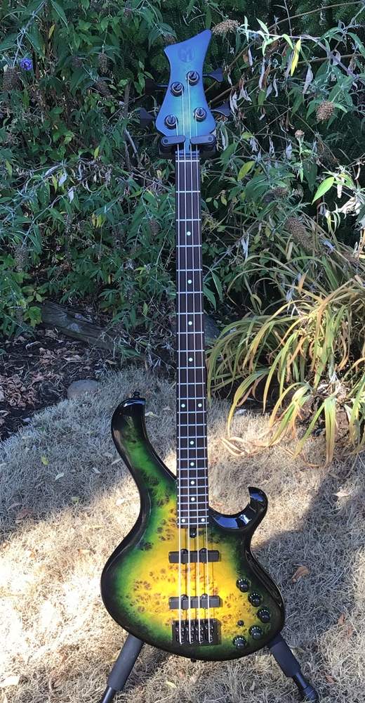 My Frog 3cropred.JPG