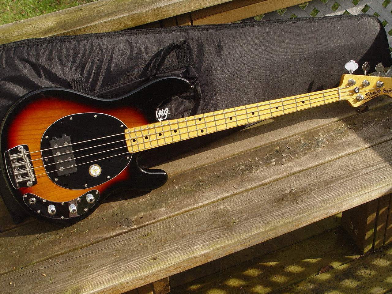 My Stingray.jpg