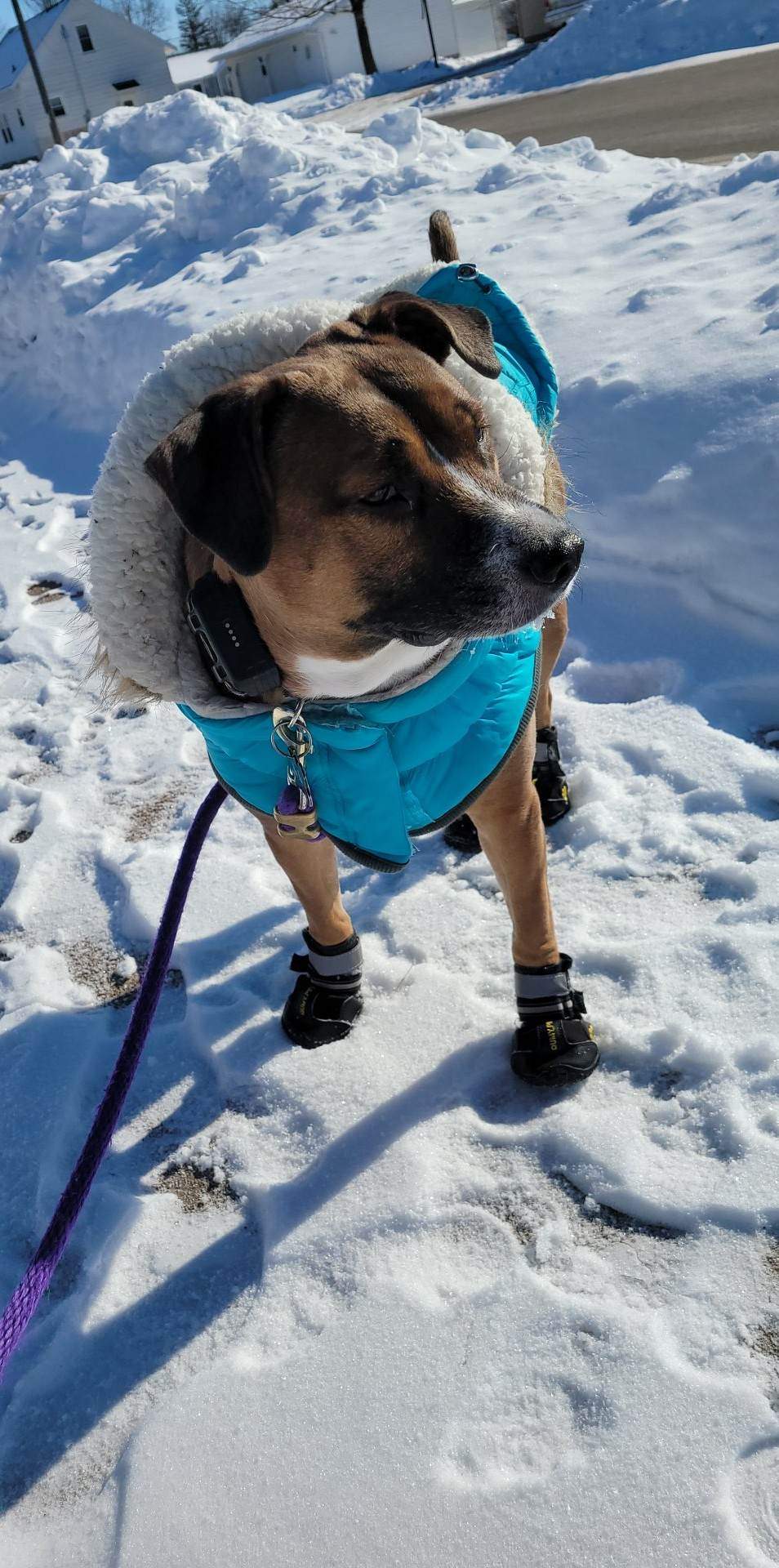 mya coat.jpg
