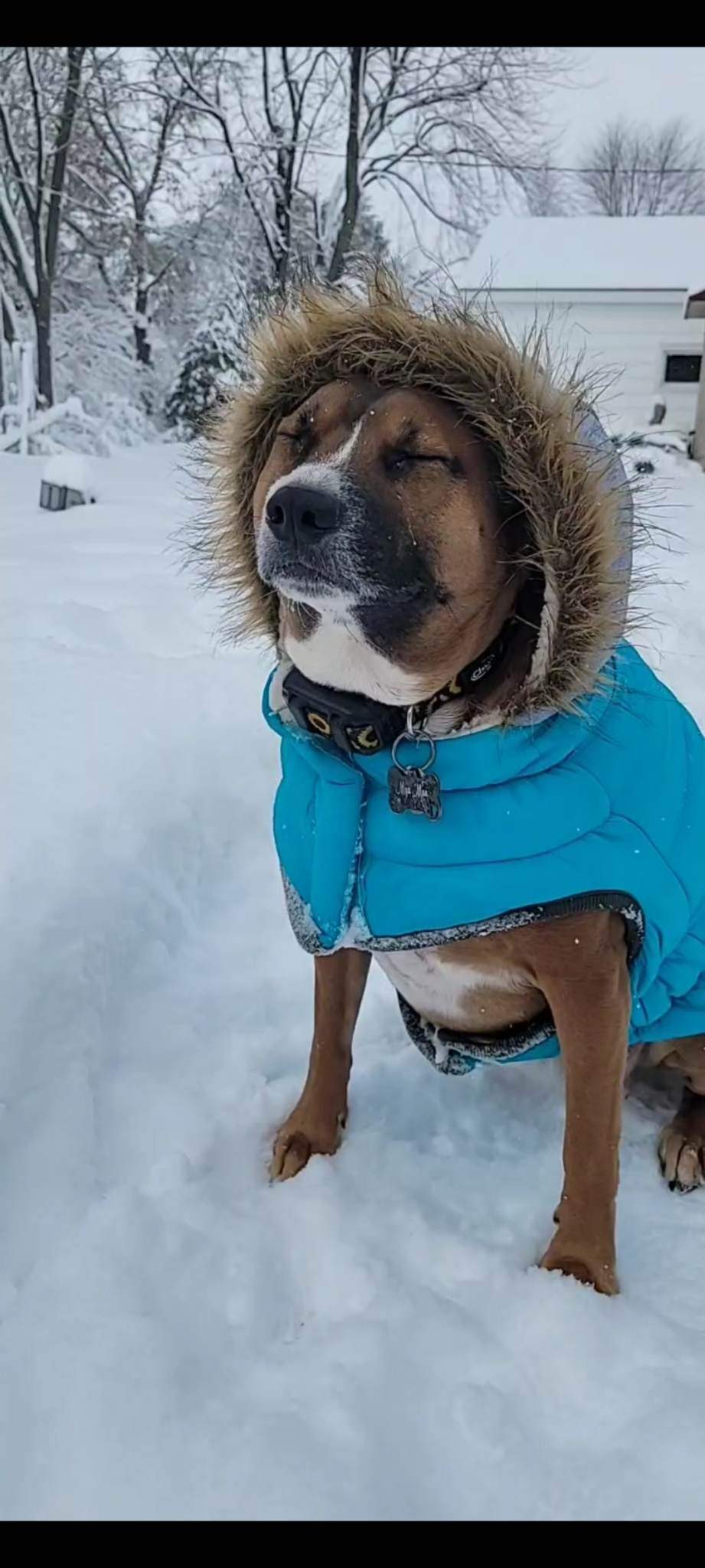mya parka.jpg