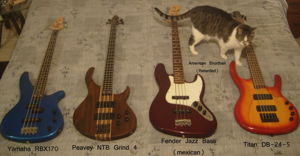 Mybasses.jpg