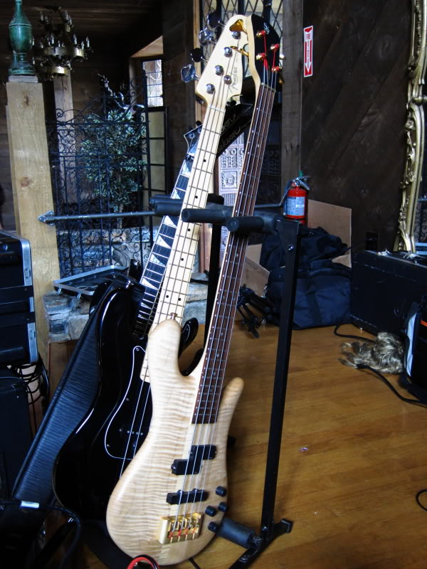 MyBasses.jpg