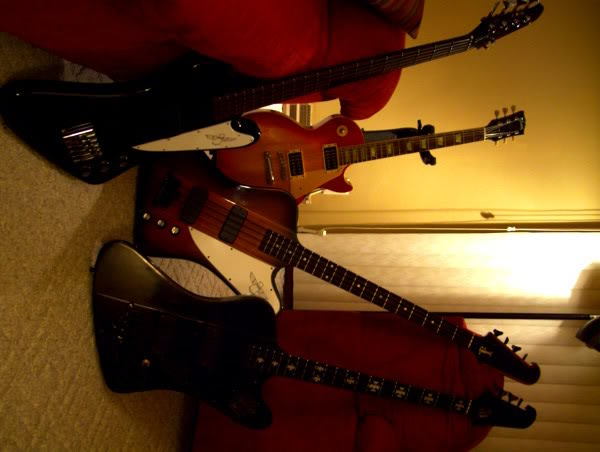 mygibsons2008.jpg