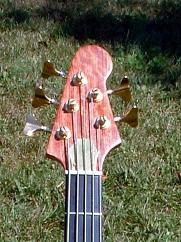 Myheadstockfront1_zps6307fc75.jpg