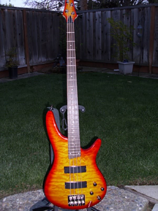 MyIbby02a002.jpg