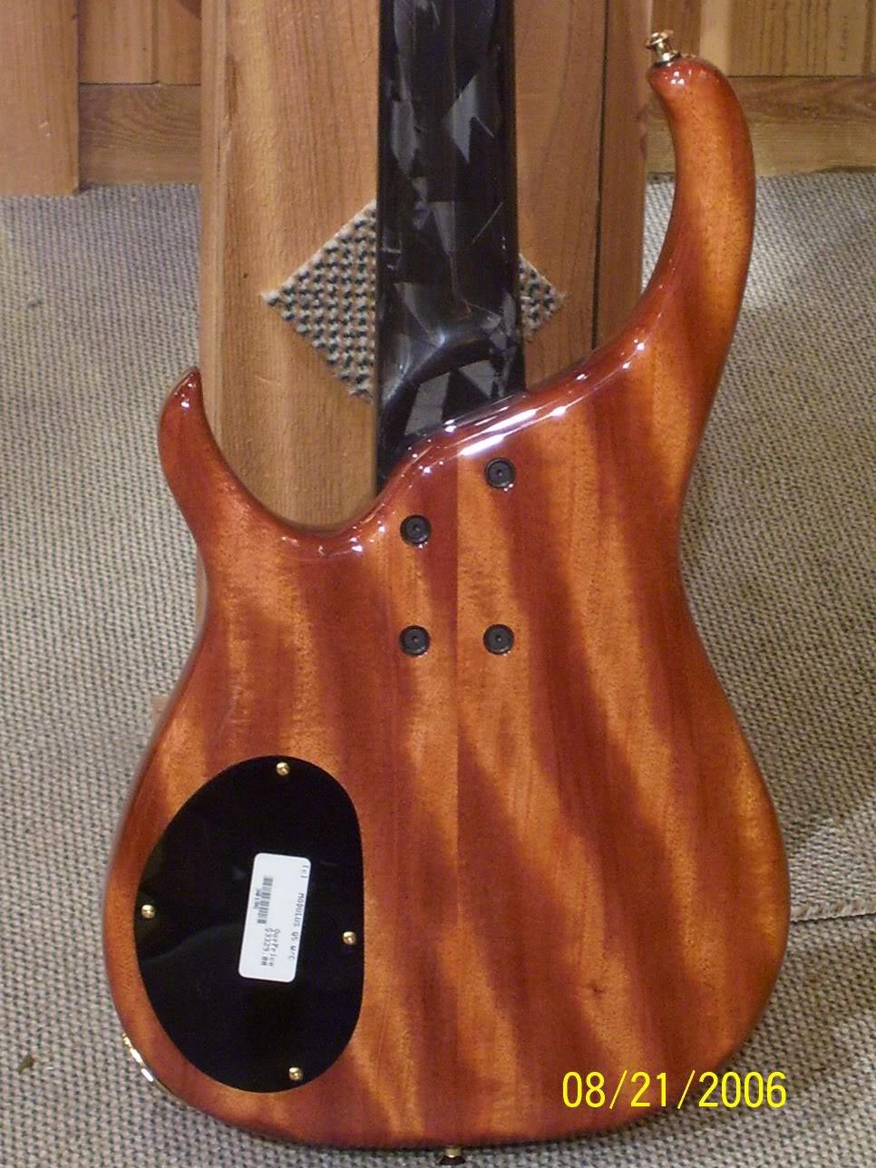 MyModulusQuantum5Semi-Hollow006.jpg