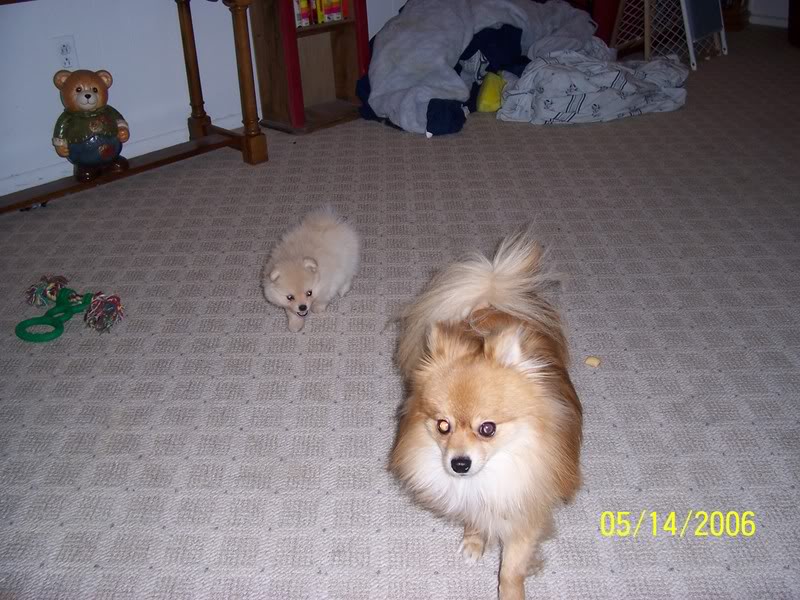 MyPictures024.jpg