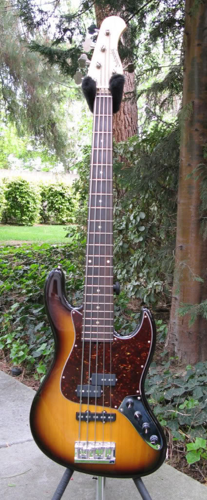 MySadowsky002.jpg