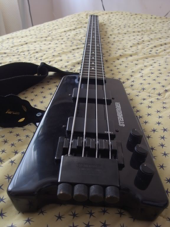 MySteinberger.jpg