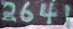 n2641.jpg