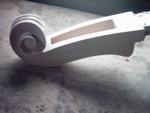 n81.jpg