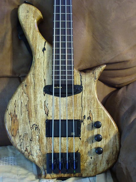 nancybass3.jpg