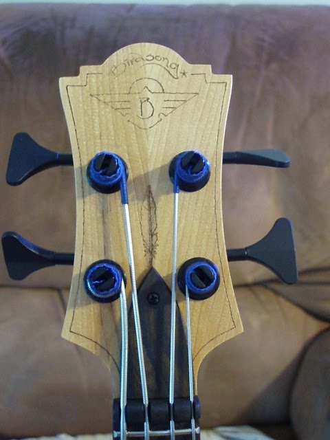 nancybass4.jpg