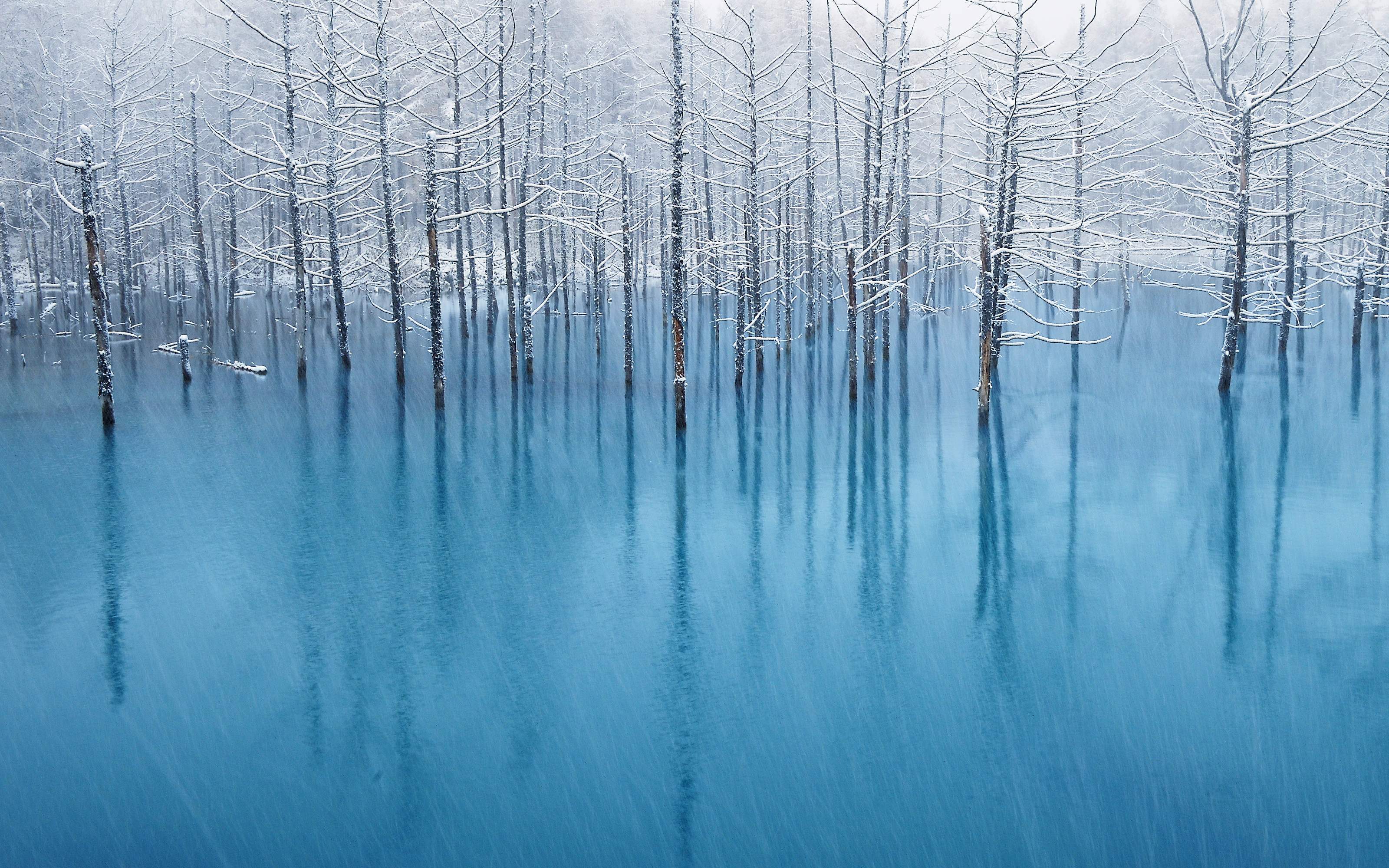 NaturePatterns08.jpg
