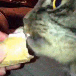 nC2AESI.gif