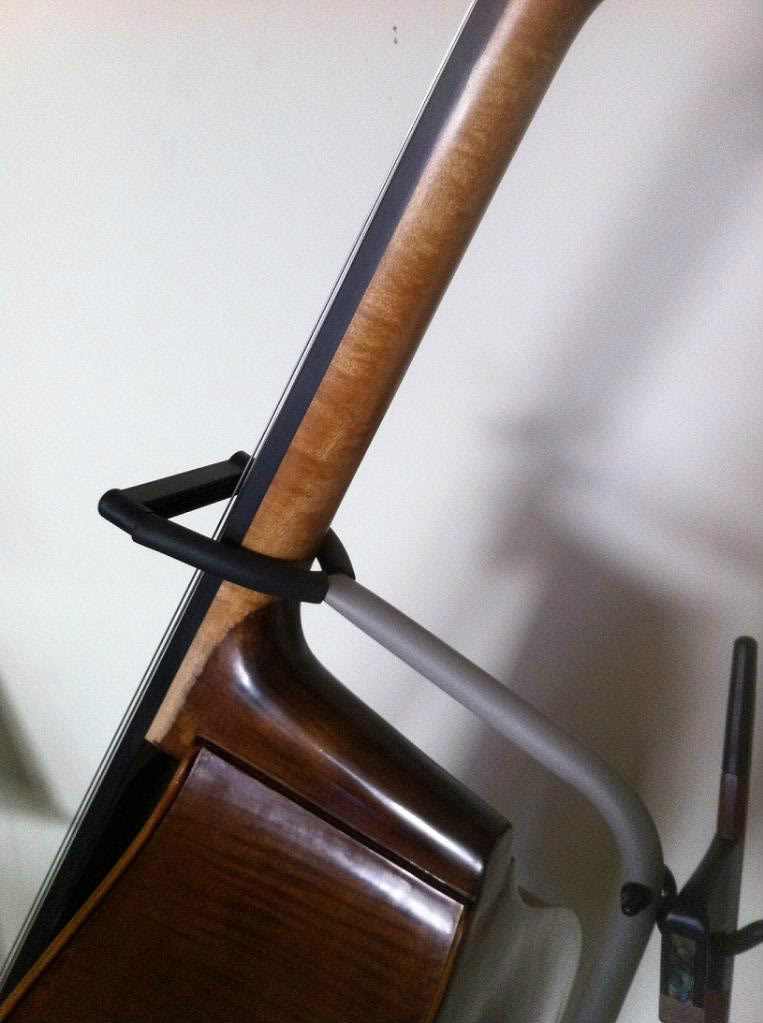 Neck.jpg