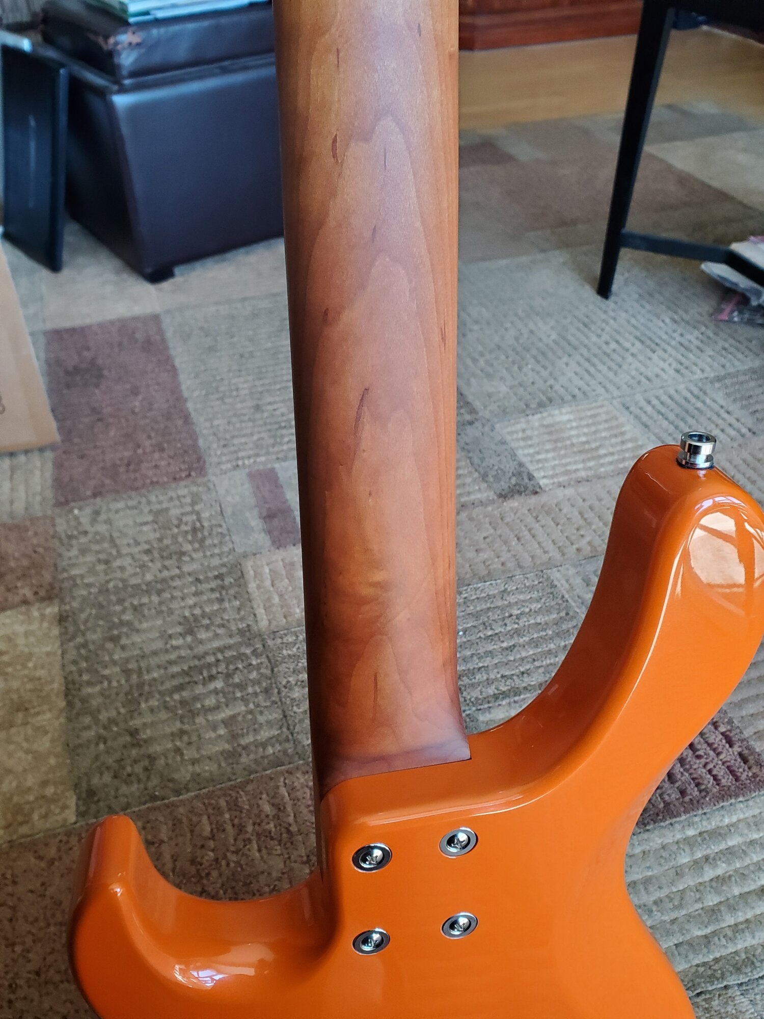 neck.jpg